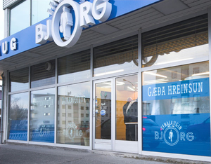 H&aacute;aleitisbraut